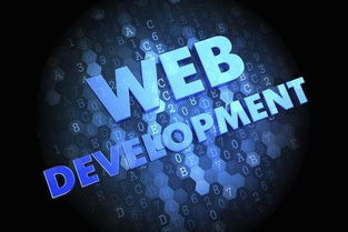 數(shù)字時(shí)代的黃金賽道 為何計(jì)算機(jī)軟件開(kāi)發(fā)仍是“最有前途”的專業(yè)之選？